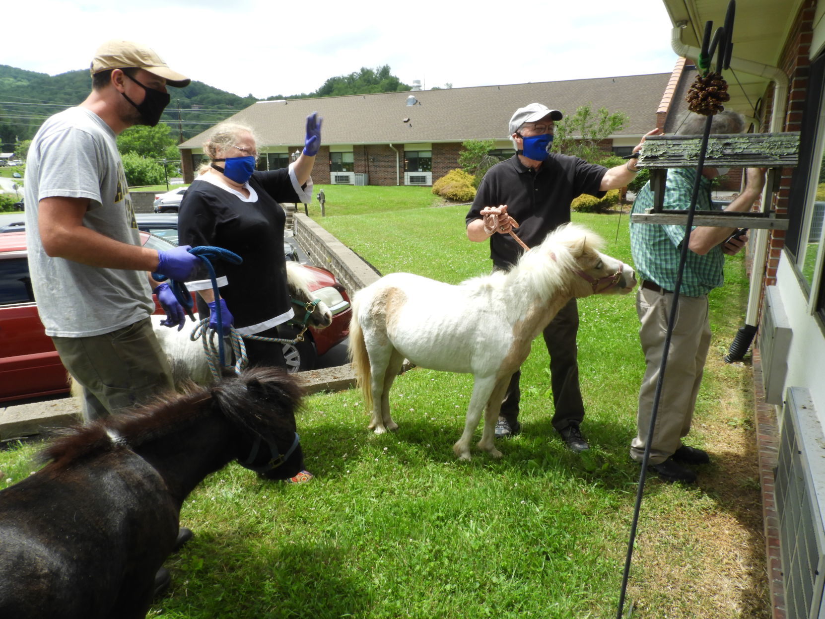 Horse Helpers at Life Care Center